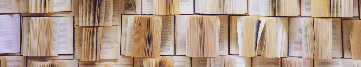 a wall full of books